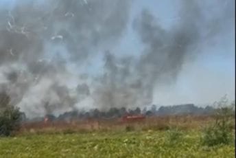 (VIDEO) Buknuli požari u Tuzima: Vatra prijeti vinogradima, vatrogasci na terenu (VIDEO) Buknuli požari u Tuzima: Vatra prijeti vinogradima, vatrogasci na terenu