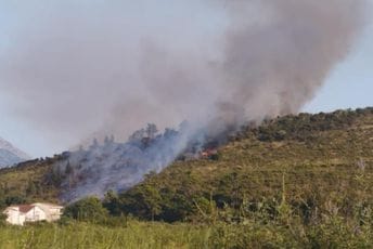 Požar na Golom Brdu i dalje aktivan; Bešović: Situacija stabilna Požar na Golom Brdu i dalje aktivan; Bešović: Situacija stabilna