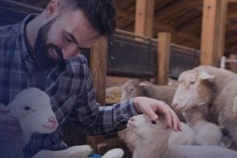 Sinergijom sa lokalnom zajednicom uspješno realizovana mjera “Direktna podrška stočarstvu” u svim djelovima Podgorice Sinergijom sa lokalnom zajednicom uspješno realizovana mjera “Direktna podrška stočarstvu” u svim djelovima Podgorice