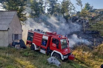 Požar na Lovćenu: Zbog nepažnje mještanina planula šuma Požar na Lovćenu: Zbog nepažnje mještanina planula šuma