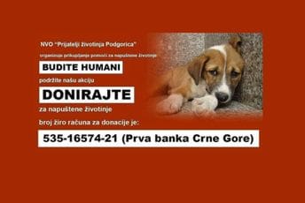 Prijatelji životinja Podgorica: Donirajte za napuštene ljubimce Prijatelji životinja Podgorica: Donirajte za napuštene ljubimce