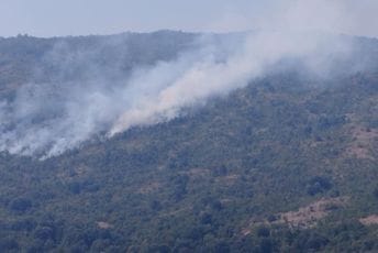 Ćećanović: Kiša ugasila požare na području cetinjske opštine Ilustracija