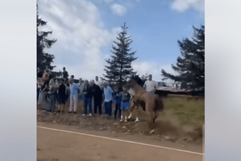 (VIDEO) Bijelo Polje: Konj uletio u publiku, dvoje djece hospitalizovano