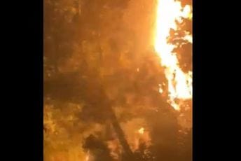 Budva: Veliki požar u blizini Skočiđevojke Budva: Veliki požar u blizini Skočiđevojke