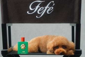 (VIDEO) Zlato i luksuz, ali ne za ljude: Dolče&Gabana lansirao parfem za pse (VIDEO) Zlato i luksuz, ali ne za ljude: Dolče&Gabana lansirao parfem za pse