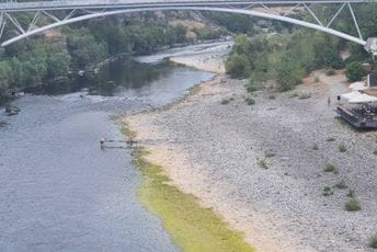 Fekalije i otpad duž Morače: Zagađene supstance našli i u ribi Ilustracija