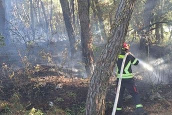 Opet gorjelo na Vrmcu Opet gorjelo na Vrmcu