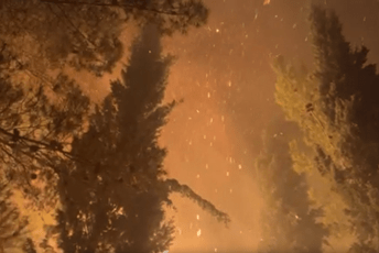 Vjetar ponovo aktivirao požar u Zeti; Blečić: Na terenu deset vatrogasaca Vjetar ponovo aktivirao požar u Zeti; Blečić: Na terenu deset vatrogasaca