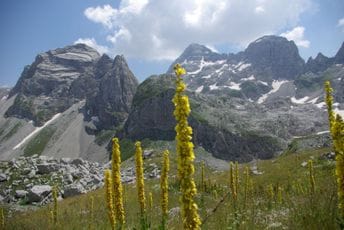 Plavljanin osumnjičen da je gradio na državnom zemljištu u NP Prokletije