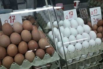 Oprezno sa „brzom hranom“: Povećan broj pacijenata sa simptomima trovanja U kvarljive namirnice spadaju sve one životinjskog porijekla, među kojima i jaja