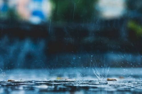 Danas kišovito i vjetrovito, do 19 stepeni