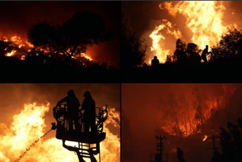 Turska: Zbog požara evakuisano oko četiri hiljade ljudi Turska: Zbog požara evakuisano oko četiri hiljade ljudi