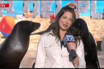 (VIDEO) Reporterku usred prenosa uživo spopale foke: Nije znala šta je snašlo (VIDEO) Reporterku usred prenosa uživo spopale foke: Nije znala šta je snašlo