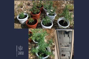 U kući u Baru koju koristi njemačka državljanka pronađene stabljike marihuane i mini laboratorija: Osumnjičena uhapšena U kući u Baru koju koristi njemačka državljanka pronađene stabljike marihuane i mini laboratorija: Osumnjičena uhapšena