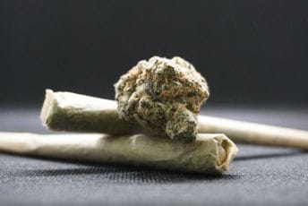 Kod Novljanina pronađena marihuana, kažnjen sa 530 eura