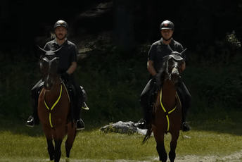 (VIDEO) Tim policije na konjima patroliraće Žabljakom do 10. septembra (VIDEO) Tim policije na konjima patroliraće Žabljakom do 10. septembra