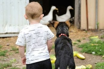 Kakav uticaj na dijete ima odrastanje sa kućnim ljubimcem? Kakav uticaj na dijete ima odrastanje sa kućnim ljubimcem?