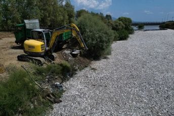 Grčka: U Volosu proglašeno vanredno stanje zbog masovnog pomora ribe Grčka: U Volosu proglašeno vanredno stanje zbog masovnog pomora ribe