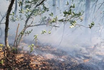 Više požara u Bijelom Polju, bile ugrožene kuće i škola