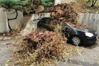 (FOTO) Jako nevrijeme zahvatilo Herceg Novi: Na automobil palo stablo palme (FOTO) Jako nevrijeme zahvatilo Herceg Novi: Na automobil palo stablo palme