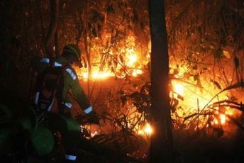 Eksplozija cistijerne u Ugandi: Najmanje 11 ljudi poginulo