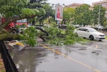 Podgorica: Vatrogasci uklonili stablo koje je palo na kolovoz na Bulevaru Sv. Petra Cetinjskog