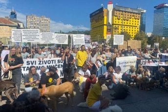 U Sarajevu protesti nakon ubistva psa Meda: Napustio si ovaj surovi svijet okovan strahom