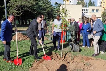 Dvorište škole oplemenili sa 80 sadnica drveća