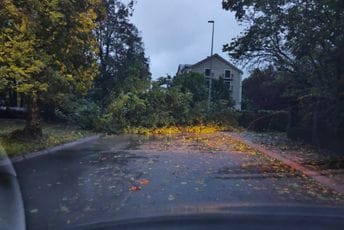 Nevrijeme na Cetinju: Drvo srušeno na kolovoz