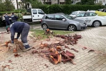 Kotor: Palma pala na auto, vjetar obarao stabla, odron u Stolivu