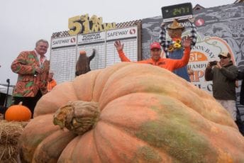 Uzgojio bundevu tešku više od 1.100 kilograma