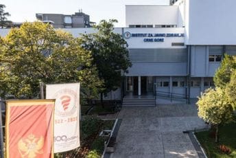 Sumnja na kugu u Rusiji; IJZCG: Nema razloga za posebne mjere u Crnoj Gori