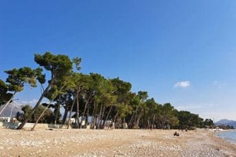 JP Morsko dobro: Zakupci da što prije pristupe čišćenju i uređenju plaža i kupališta