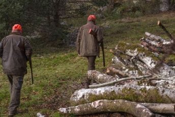 Uprava za gazdovanje šumama i lovištima: Lovačka udruženja da pomognu u pronalaženju Balijagića