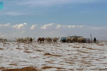 Saudijska Arabija: Snijeg zabijelio pustinjski pijesak