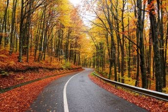 Vozači oprez: Jesenji "dekor" opasnost za vožnju i automobile