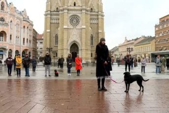 Novi Sad: Sve stalo na 14 minuta, opozicija i građani pozvali na odgovornost za nesreću na Željezničkoj stanici