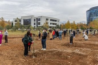 Šezdeset studenata zasadilo svoje stablo znanja u studentskom parku Univerziteta Crne Gore