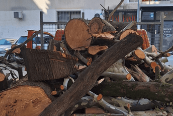 Grupa građana Plava uputila dopis Vladi: Nedopustivo da drva za ogrijev nabavljamo iz drugih opštine i da metar plaćamo 70 eura Ilustracija