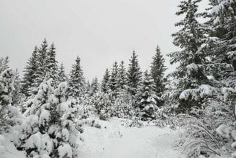 Najviše snijega u Rožajama i na Žabljaku