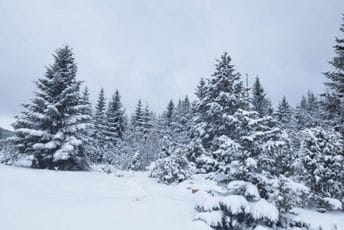 Evo gdje je jutros ima najviše snijega: Prednjači Žabljak