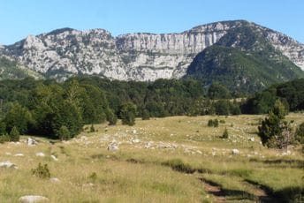 Utvrđen Predlog zakona o zaštiti prirode