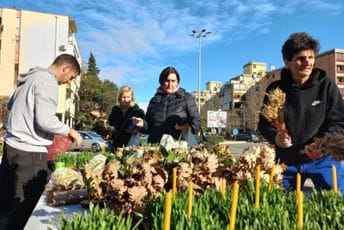 Počela prodaja badnjaka: Koliko god da platite, prodavac će biti zadovoljan