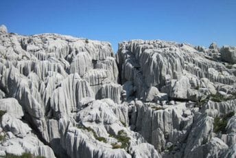 Hiljadu godina potrebno za nastanak jednog centimetra zemljišta Hiljadu godina potrebno za nastanak jednog centimetra zemljišta