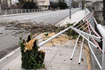 Podgorica: Vjetar oborio stablo, oštećen dio ograde mosta Braće Zlatičanin