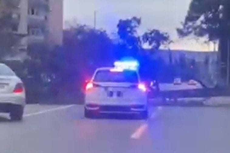 (VIDEO) Podgorica: Vjetar oborio stablo na cestu (VIDEO) Podgorica: Vjetar oborio stablo na cestu
