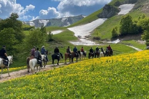 Kolašinac ljubav prema konjima pretvorio u uspješan posao: Ture prilagođene  i početnicima i iskusnim jahačima