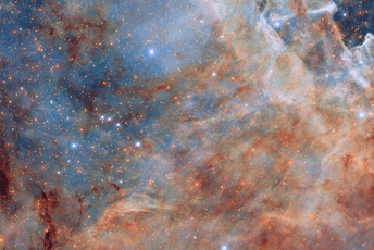 NASA i ESA podijelile fotografiju vanjskog ruba nebule Tarantula