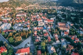 Naloženo i psihijatrijsko vještačenje: Cetinjaninu osumnjičenom za mučenje psa određeno zadržavanje