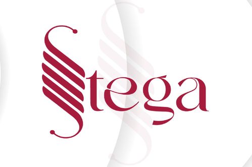 STEGA: Sada se vidi koliko bi za vladavinu prava pogubno bilo usvajanje izmjena zakona